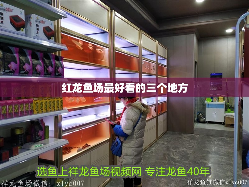 紅龍魚場(chǎng)最好看的三個(gè)地方