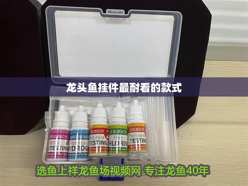 龍頭魚掛件最耐看的款式