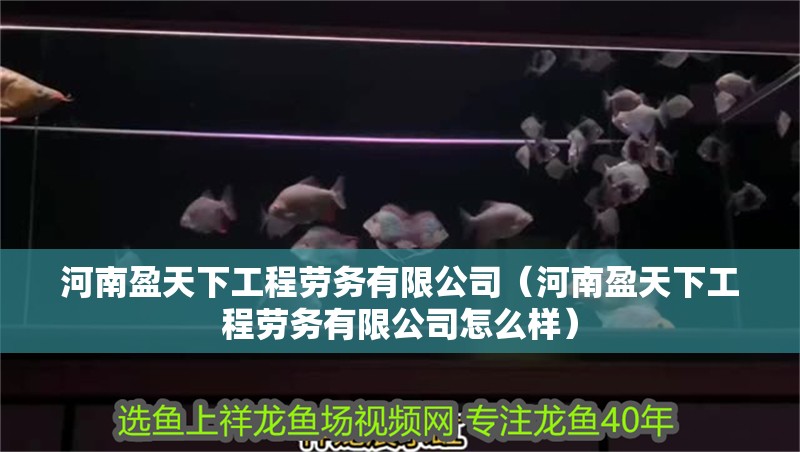 河南盈天下工程勞務(wù)有限公司（河南盈天下工程勞務(wù)有限公司怎么樣）