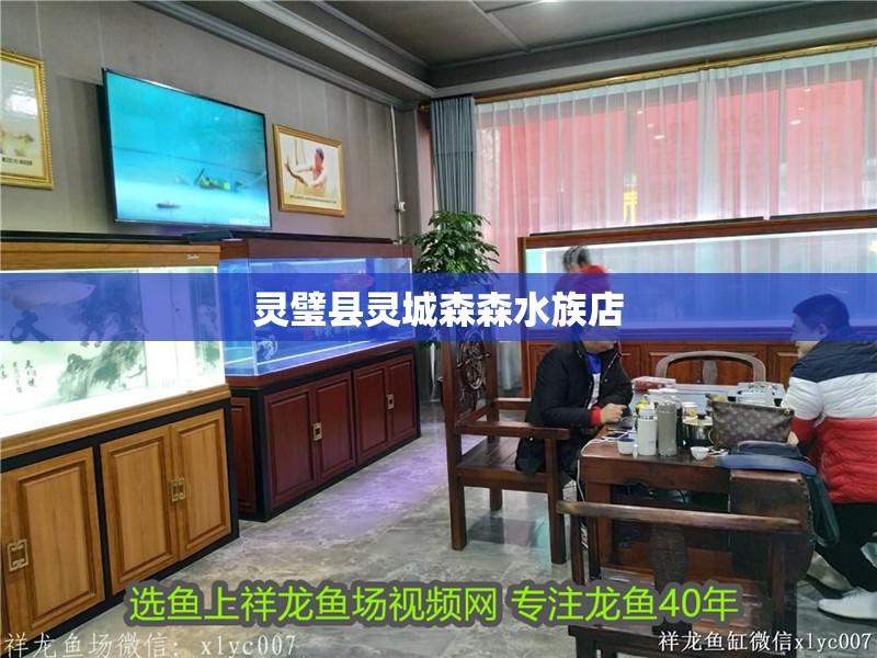 魚缸用增氧泵價格是多少:魚缸增氧機-xtrac增氧機-xtrac增氧機 靈璧縣靈城森森水族店 全國水族館企業名錄 靈璧縣靈城森森水族店 靈璧縣靈城森森水族店 全國水族館企業名錄