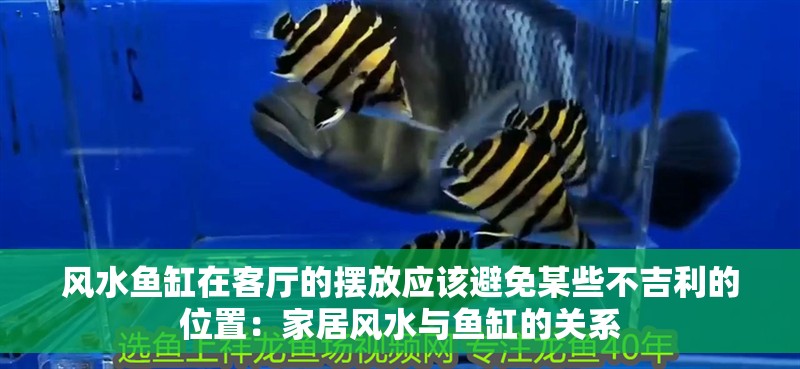 風(fēng)水魚缸在客廳的擺放應(yīng)該避免某些不<strong><mark>吉利</mark></strong>的位置：家居風(fēng)水與魚缸的關(guān)系