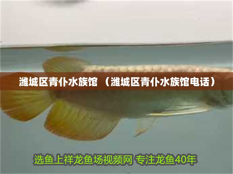 濰城區青仆水族館 （濰城區青仆水族館電話）