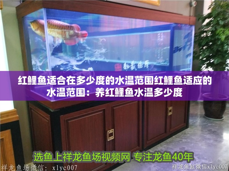 魚缸過濾器選購指南:自制魚缸過濾器魚缸上置過濾器對于養魚愛好者的必備知識 紅鯉魚適合在多少度的水溫范圍紅鯉魚適應的水溫范圍:養紅鯉魚水溫多少度 魚缸百科 紅鯉魚適合在多少度的水溫范圍紅鯉魚適應的水溫范圍:養紅鯉魚水溫多少度 紅鯉魚適合在多少度的水溫范圍紅鯉魚適應的水溫范圍:養紅鯉魚水溫多少度 魚缸百科