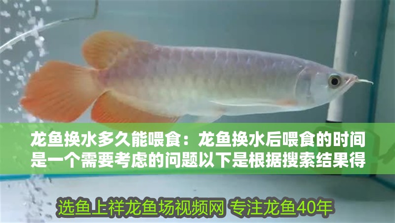 龍魚換水多久能喂食：龍魚換水后喂食的時間是一個需要考慮的問題以下是根據搜索結果得出的建議