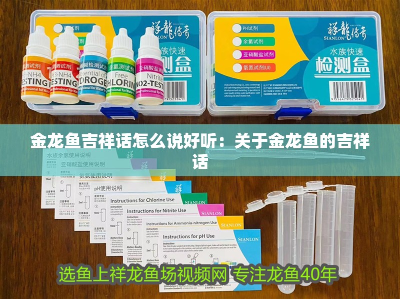 金龍魚吉祥話怎么說好聽：關于金龍魚的吉祥話