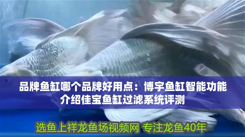 品牌魚缸哪個品牌好用點：博宇魚缸智能功能介紹佳寶魚缸過濾系統評測