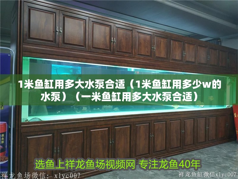 1米魚缸用多大水泵合適（1米魚缸用多少w的水泵）（一米魚缸用多大水泵合適）