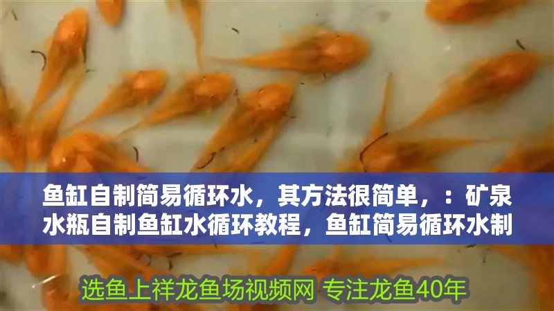 魚缸自制簡易循環(huán)水，其方法很簡單，：礦泉水瓶自制魚缸水循環(huán)教程，魚缸簡易循環(huán)水制作教程 魚缸自制簡易循環(huán)水，其方法很簡單，：礦泉水瓶自制魚缸水循環(huán)教程，魚缸簡易循環(huán)水制作教程 魚缸百科
