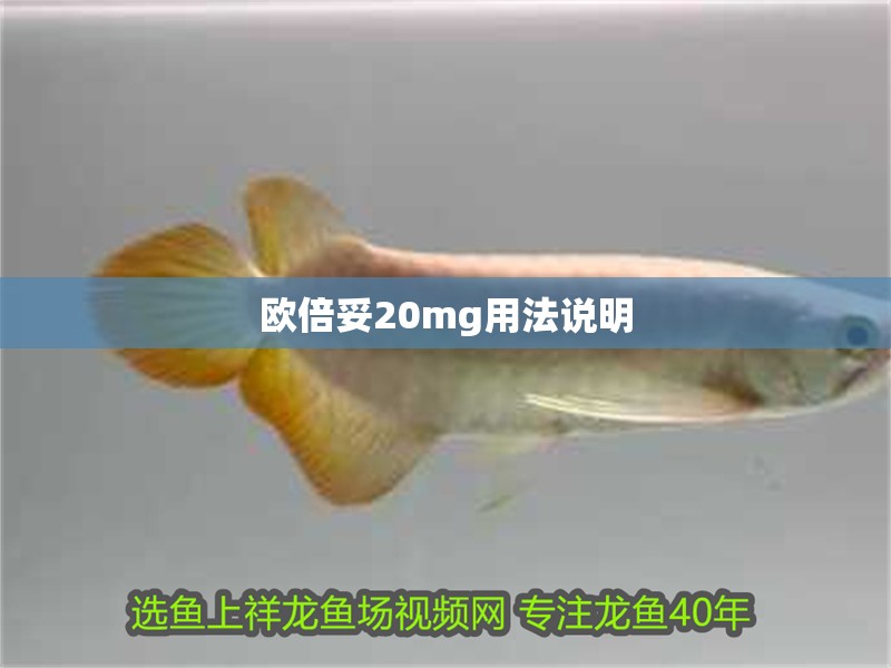 歐倍妥20mg用法說明 歐倍妥20mg用法說明 龍魚論壇
