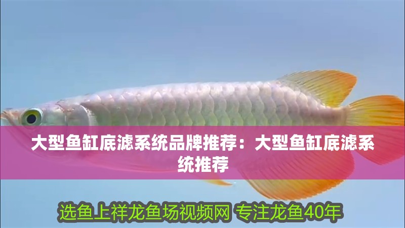 大型魚缸底濾系統品牌推薦：大型魚缸底濾系統推薦