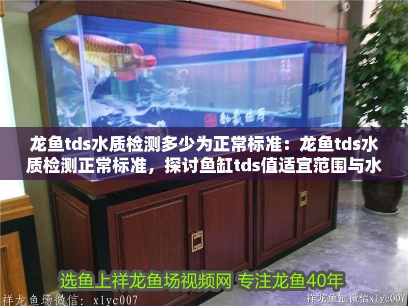 龍魚tds水質檢測多少為正常標準：龍魚tds水質檢測正常標準，探討魚缸tds值適宜范圍與水質管理 龍魚tds水質檢測多少為正常標準：龍魚tds水質檢測正常標準，探討魚缸tds值適宜范圍與水質管理 龍魚百科