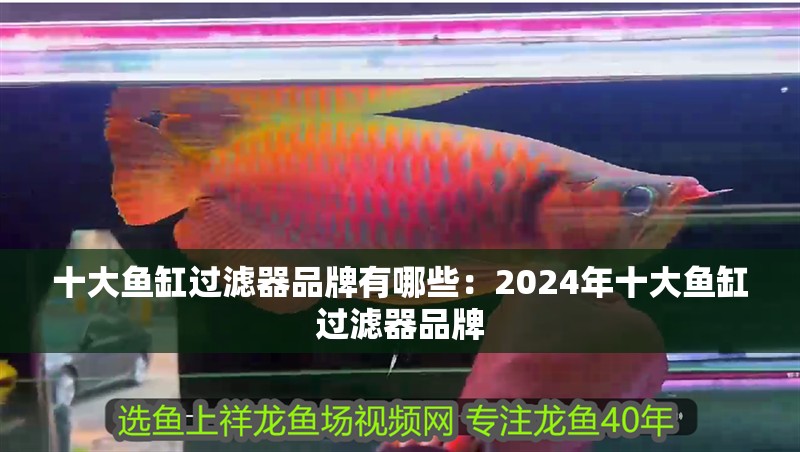 十大魚(yú)缸過(guò)濾器品牌有哪些：2024年十大魚(yú)缸過(guò)濾器品牌