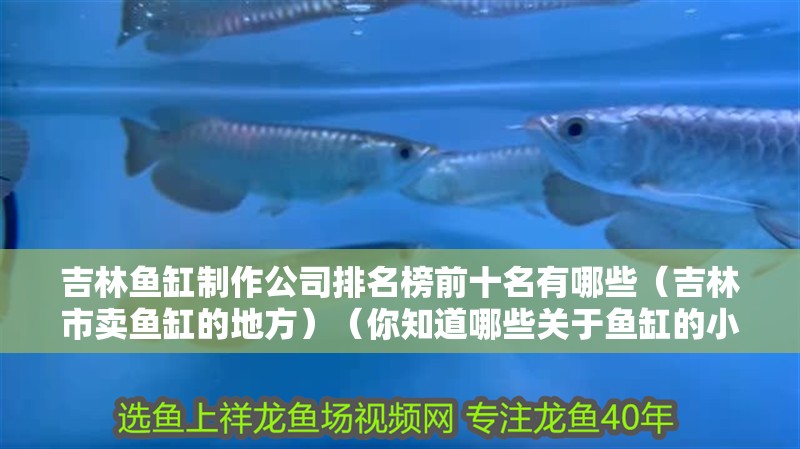 吉林魚缸制作公司排名榜前十名有哪些（吉林市賣魚缸的地方）（你知道哪些關(guān)于魚缸的小知識(shí)？） 吉林魚缸制作公司排名榜前十名有哪些（吉林市賣魚缸的地方）（你知道哪些關(guān)于魚缸的小知識(shí)？） 魚缸百科