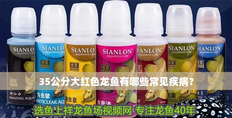 35公分大紅色龍魚有哪些常見疾病？