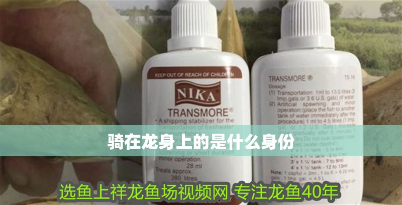 騎在龍身上的是什么身份