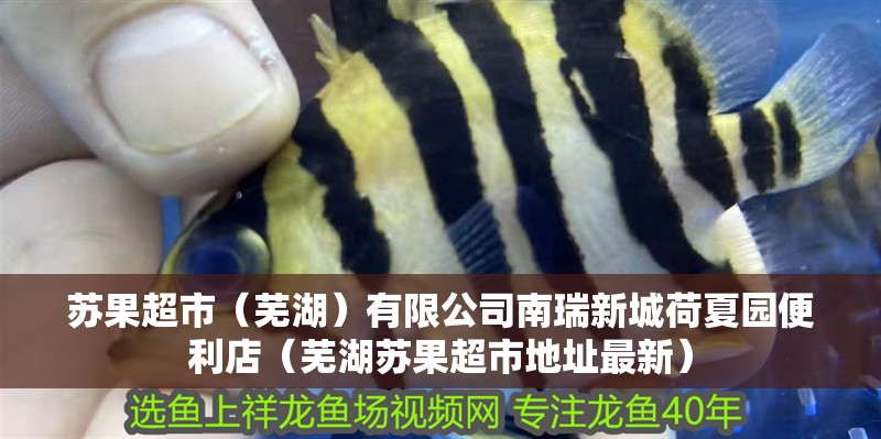 蘇果超市（蕪湖）有限公司南瑞<strong><mark>新城</mark></strong>荷夏園便利店（蕪湖蘇果超市地址最新）