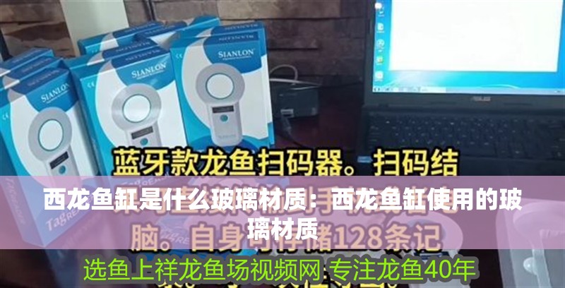 西龍魚缸是什么玻璃材質：西龍魚缸使用的玻璃材質
