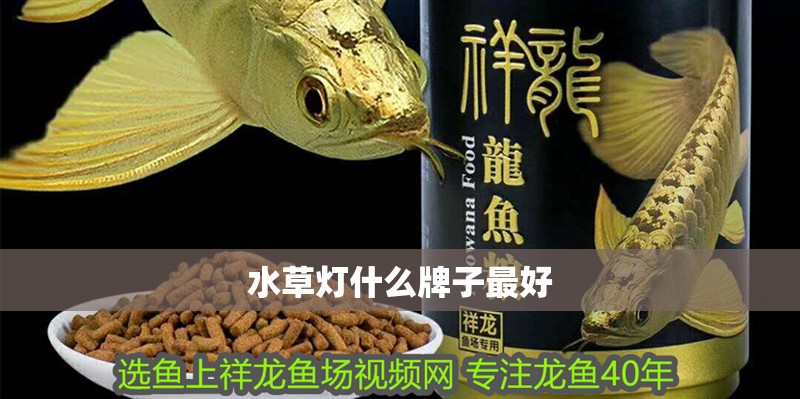 水草燈什么牌子最好