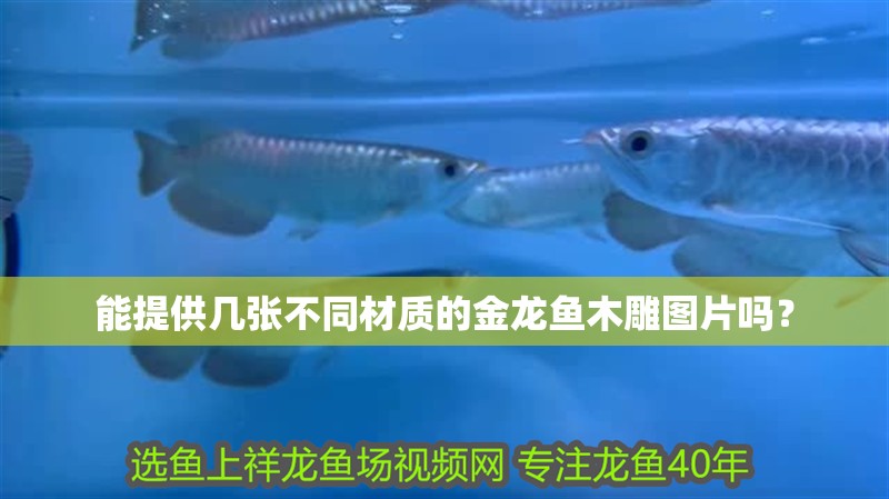 能提供幾張不同材質(zhì)的金龍魚(yú)木雕圖片嗎？