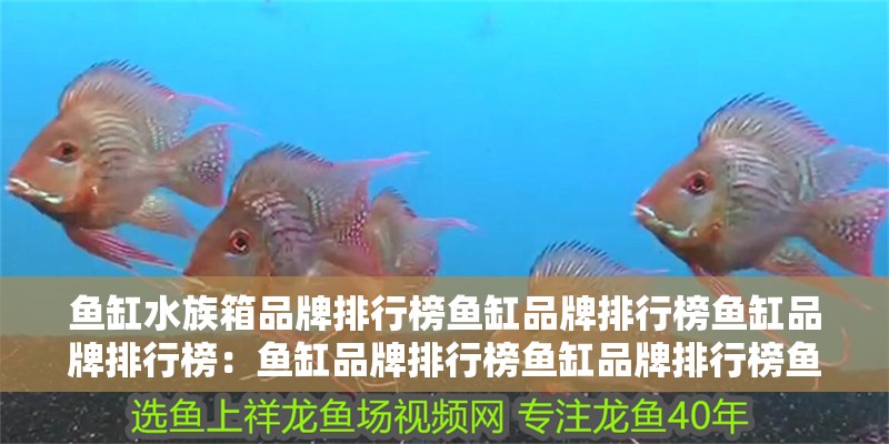 魚缸水族箱品牌排行榜魚缸品牌排行榜魚缸品牌排行榜：魚缸品牌排行榜魚缸品牌排行榜魚缸品牌排行榜前10名