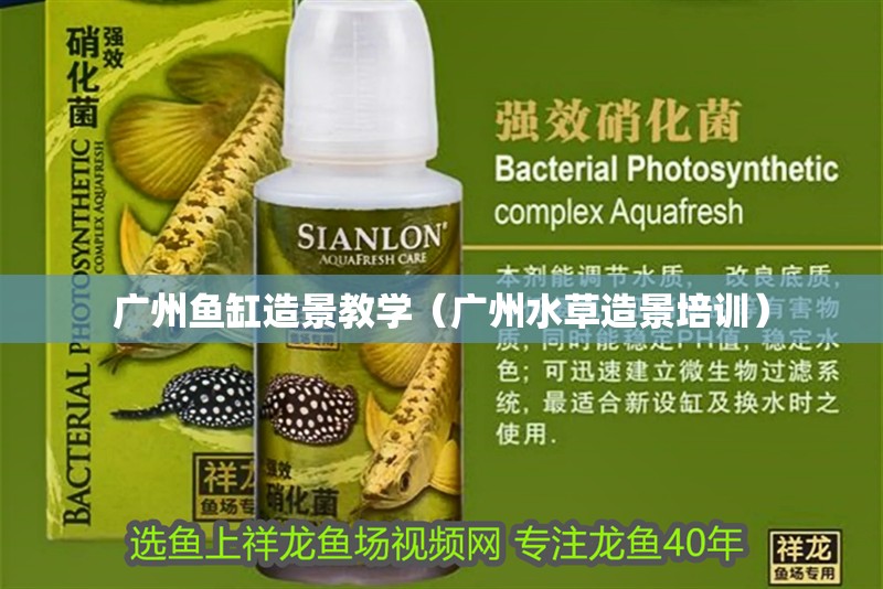 廣州魚(yú)缸造景教學(xué)（廣州水草造景培訓(xùn)）
