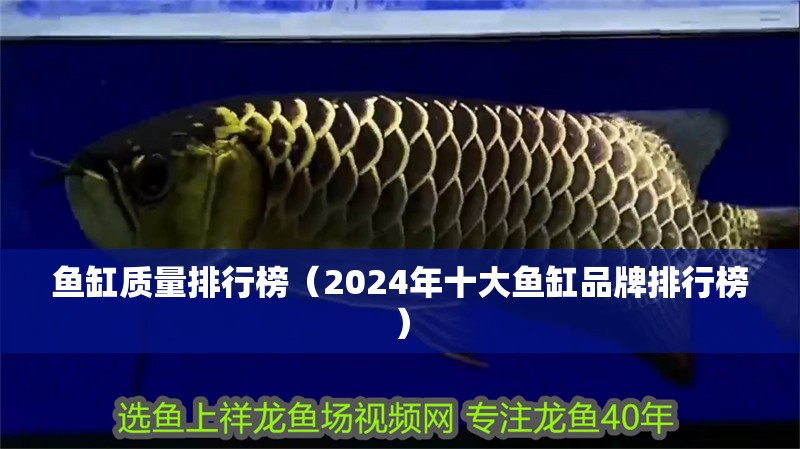 魚缸質量排行榜（2024年十大魚缸品牌排行榜） 魚缸質量排行榜（2024年十大魚缸品牌排行榜） 魚缸百科