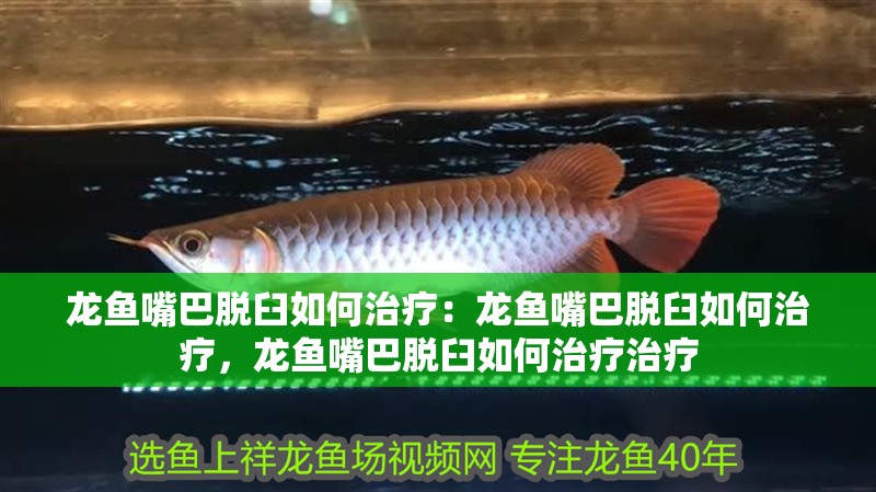 龍魚嘴巴脫臼如何治療：龍魚嘴巴脫臼如何治療，龍魚嘴巴脫臼如何治療治療