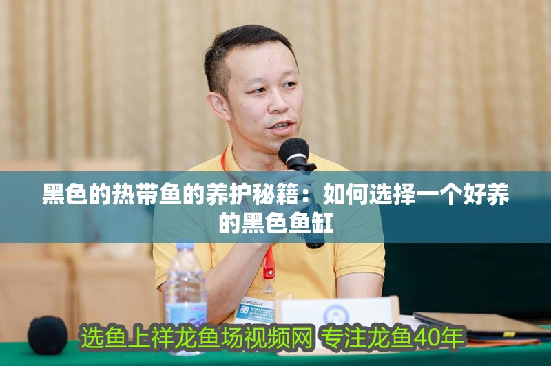 黑色的熱帶魚的養護秘籍：如何選擇一個好養的黑色魚缸