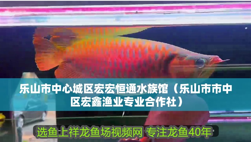 樂山市中心城區宏宏恒通水族館（樂山市市中區宏鑫漁業專業合作社）