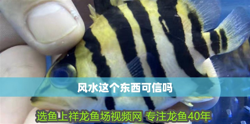 風(fēng)水這個(gè)東西可信嗎