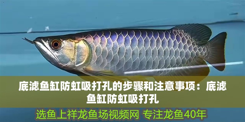 底濾魚缸防虹吸打孔的步驟和注意事項：底濾魚缸防虹吸打孔