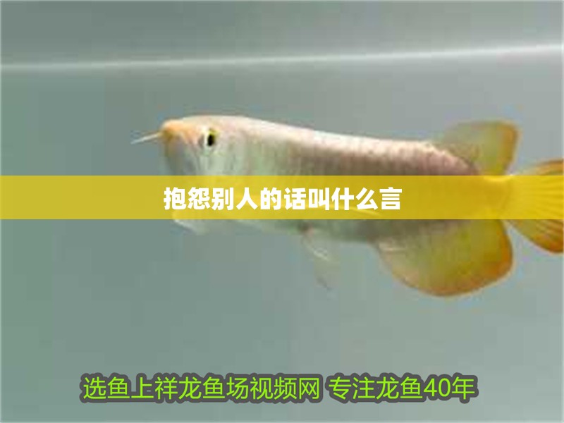 抱怨別人的話叫什么言