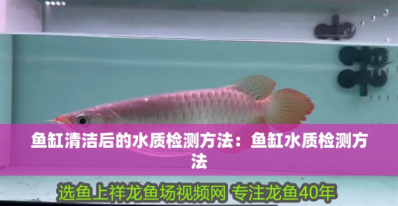 魚缸清潔后的水質檢測方法：魚缸水質檢測方法