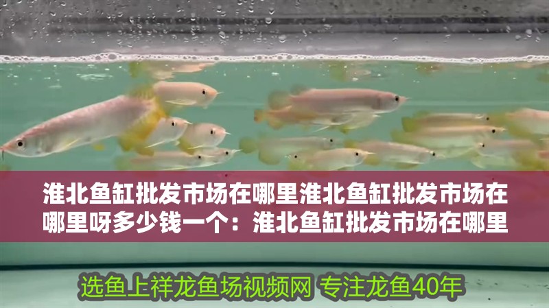 淮北魚缸批發市場在哪里淮北魚缸批發市場在哪里呀多少錢一個：淮北魚缸批發市場在哪里