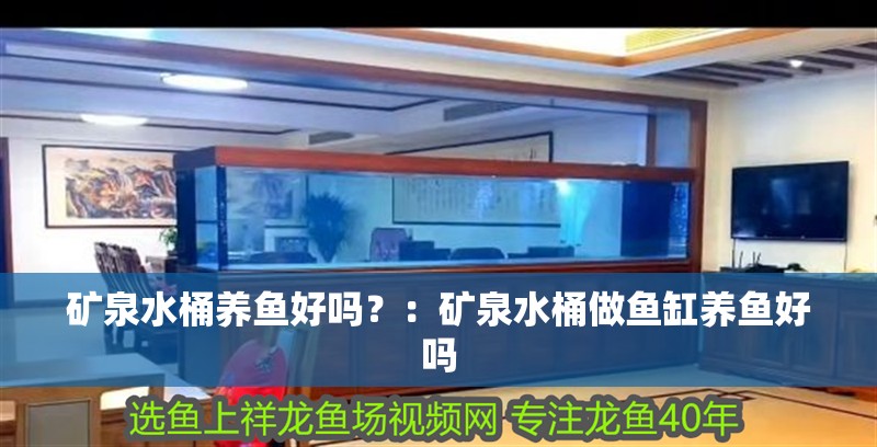 礦泉水桶養(yǎng)魚好嗎？：礦泉水桶做魚缸養(yǎng)魚好嗎