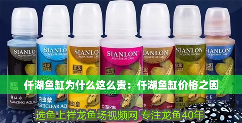 仟湖魚缸為什么這么貴：仟湖魚缸價格之因 仟湖魚缸為什么這么貴：仟湖魚缸價格之因 魚缸百科