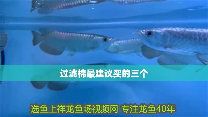 過濾棉最建議買的三個 過濾棉最建議買的三個 龍魚論壇