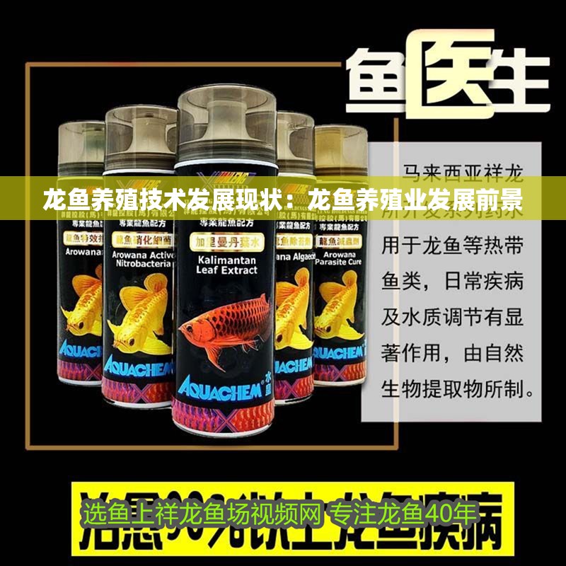 龍魚養殖技術發展現狀：龍魚養殖業發展前景