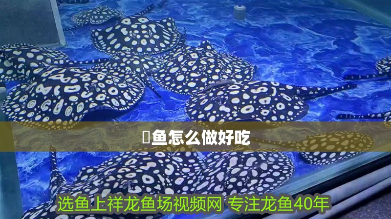 魚缸用增氧泵價格是多少:魚缸增氧機(jī)-xtrac增氧機(jī)-xtrac增氧機(jī) 鳡魚怎么做好吃 龍魚論壇 鳡魚怎么做好吃 鳡魚怎么做好吃 龍魚論壇