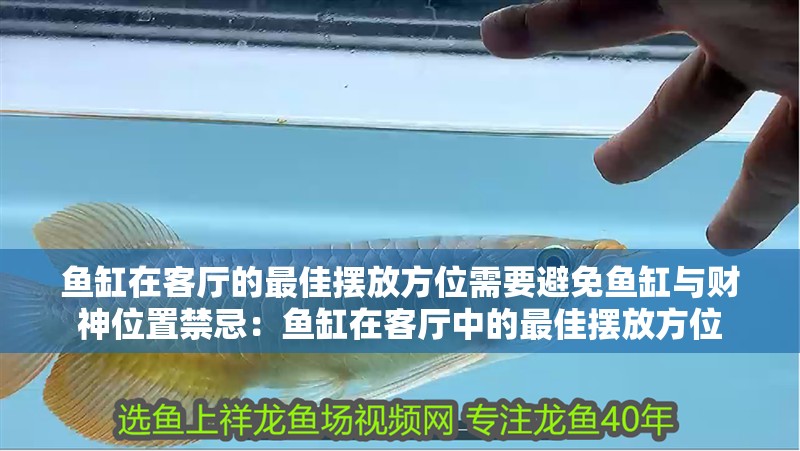 魚缸在客廳的最佳擺放方位需要避免魚缸與財神位置禁忌：魚缸在客廳中的最佳擺放方位