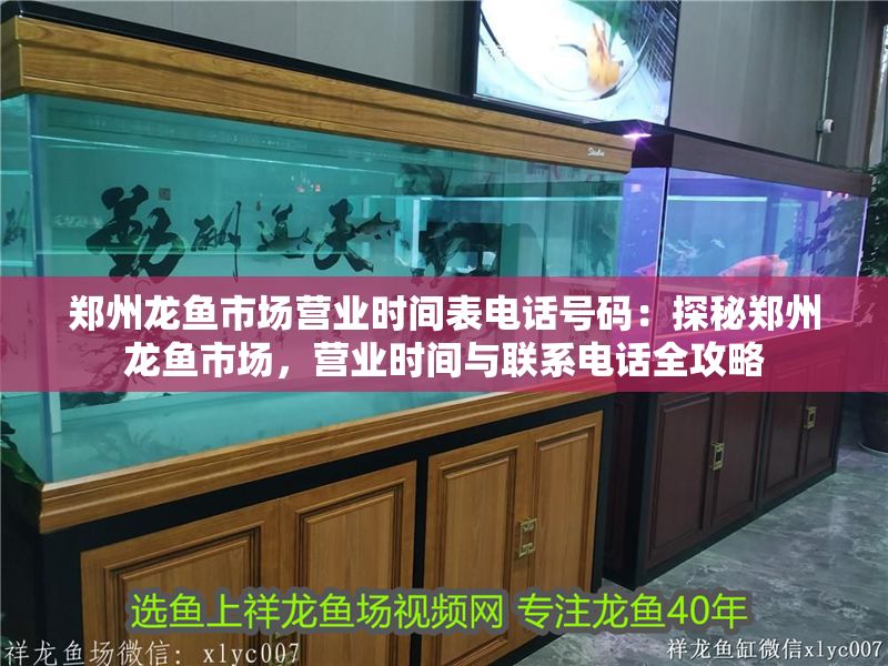 鄭州龍魚市場營業時間表電話號碼：探秘鄭州龍魚市場，營業時間與聯系電話全攻略