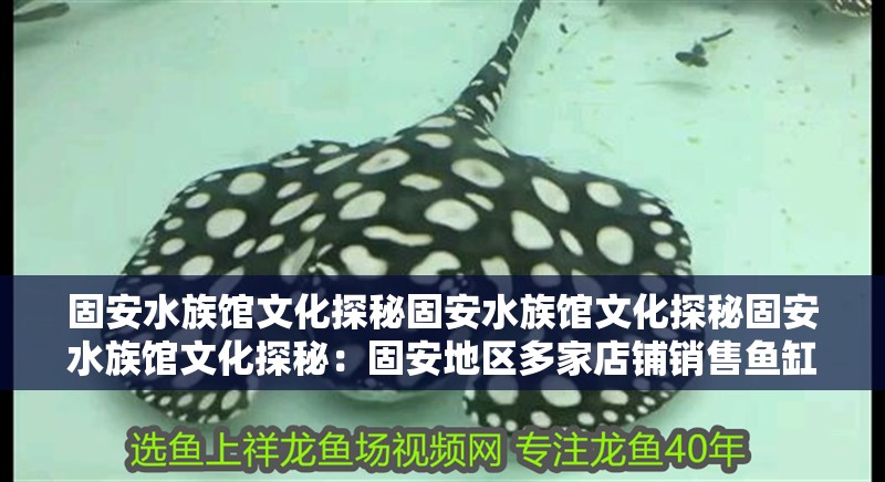<strong><mark>固安</mark></strong>水族館文化探秘<strong><mark>固安</mark></strong>水族館文化探秘<strong><mark>固安</mark></strong>水族館文化探秘：<strong><mark>固安</mark></strong>地區多家店鋪銷售魚缸及相關水族產品