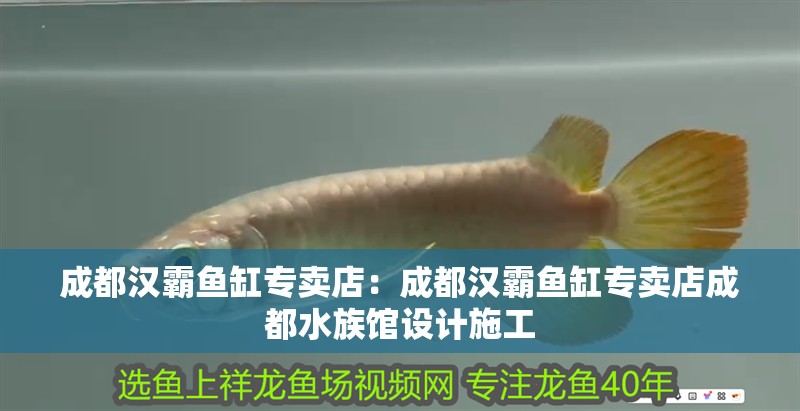 成都漢霸魚缸專賣店：成都漢霸魚缸專賣店成都水族館設計施工
