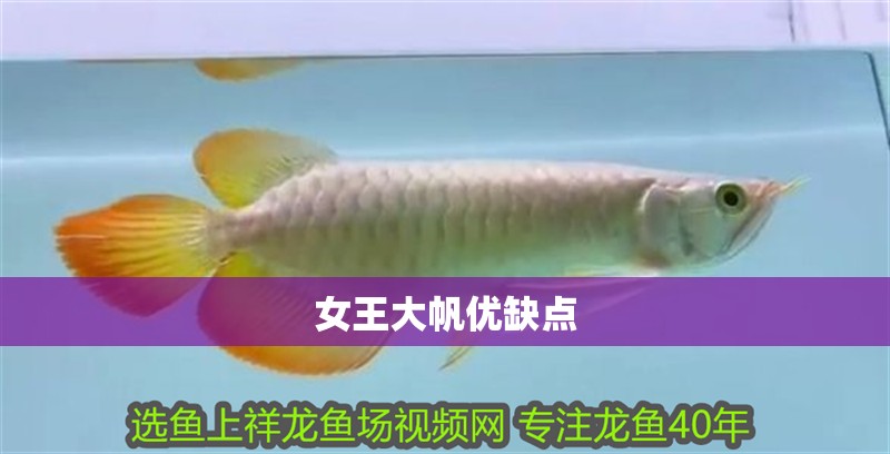 女王大帆優缺點