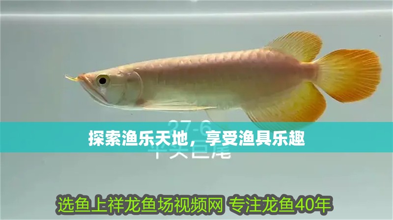 探索漁樂(lè)天地，享受漁具樂(lè)趣