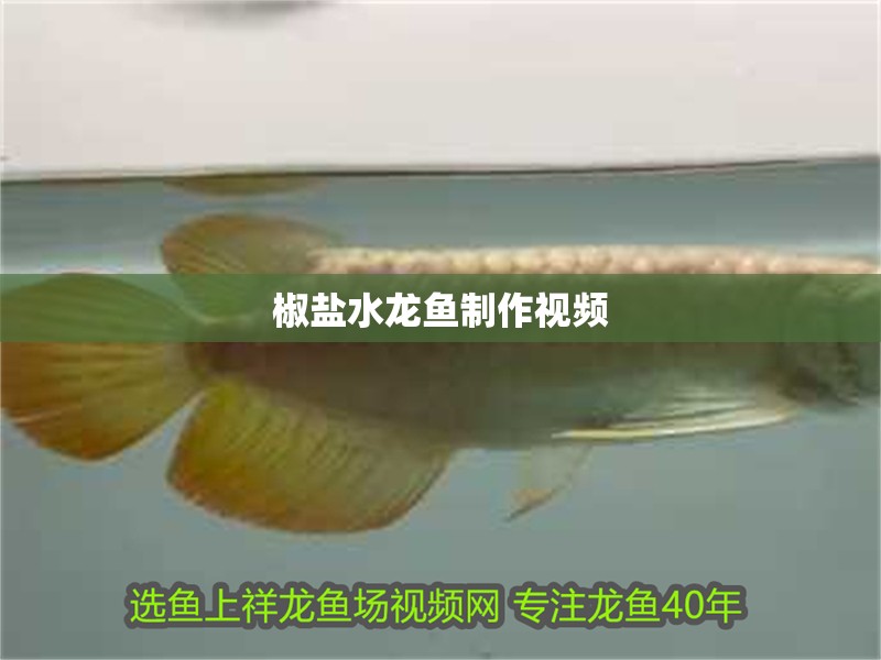 椒鹽水龍魚制作視頻 椒鹽水龍魚制作視頻 龍魚百科