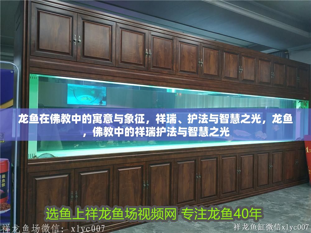 龍魚在佛教中的寓意與象征，祥瑞、護法與智慧之光，龍魚，佛教中的祥瑞護法與智慧之光