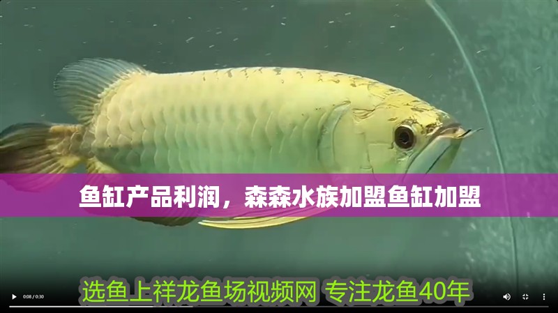 魚缸產品利潤，森森水族加盟魚缸加盟