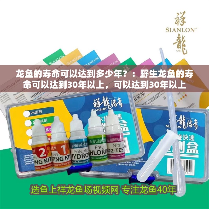 龍魚的壽命可以達到多少年？：野生龍魚的壽命可以達到30年以上，可以達到30年以上