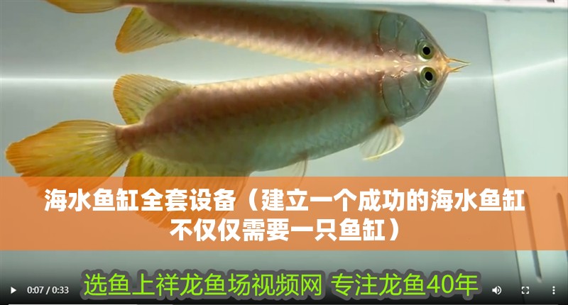 海水魚缸全套設備（建立一個成功的海水魚缸不僅僅需要一只魚缸）
